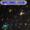 [BRC2005] V310