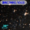 [BRC2005] V313