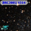 [BRC2005] V314