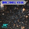 [BRC2005] V316