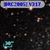[BRC2005] V317