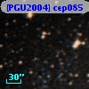 [PGU2004] cep085