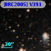 [BRC2005] V391