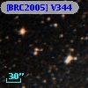 [BRC2005] V344