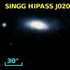 SINGG HIPASS J0209-10