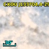 CXOU J133704.4-294938