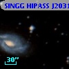 SINGG HIPASS J2031-30