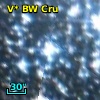 V* BW Cru