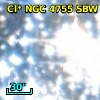 Cl* NGC 4755    SBW      77