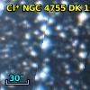 Cl* NGC 4755     DK    1225
