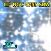 Cl* NGC 4755    SBW     102