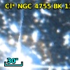 Cl* NGC 4755     BK     139