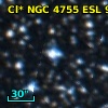 Cl* NGC 4755    ESL      99