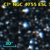 Cl* NGC 4755    ESL     106