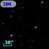 SIM  31
