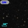 SIM  41