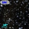SIM  46