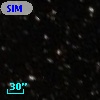 SIM  99