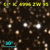 Cl* IC 4996     ZW      95