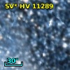 OGLE SMC-SC5 220024