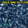 OGLE SMC-SC7 236081