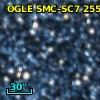 OGLE SMC-SC7 255575