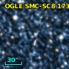 OGLE SMC-SC8 173581