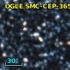 OGLE SMC-SC10  63705