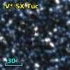 V* SX Tuc