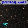 [PGU2004] cep060