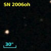 SN 2006oh