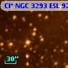 Cl* NGC 3293    ESL      92