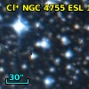 Cl* NGC 4755    ESL     101