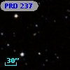 PRD 237