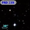 PRD 239