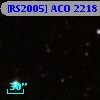 [RS2005] ACO 2218 313