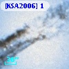 [KSA2006]  1