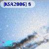 [KSA2006]  8