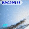[KSA2006] 11