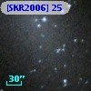 [SKR2006] 25
