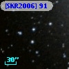 [SKR2006] 91