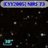 [CYY2005] NIRS  73