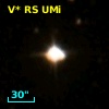 V* RS UMi