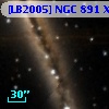 [LB2005] NGC   891 X5