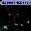 [LB2005] NGC   891 X6