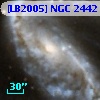 [LB2005] NGC  2442 X1