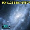 [PCV2006] ULX 31