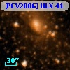 [PCV2006] ULX 41