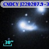 CXOCY J220207.9-315919
