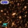 CPD-53  7355